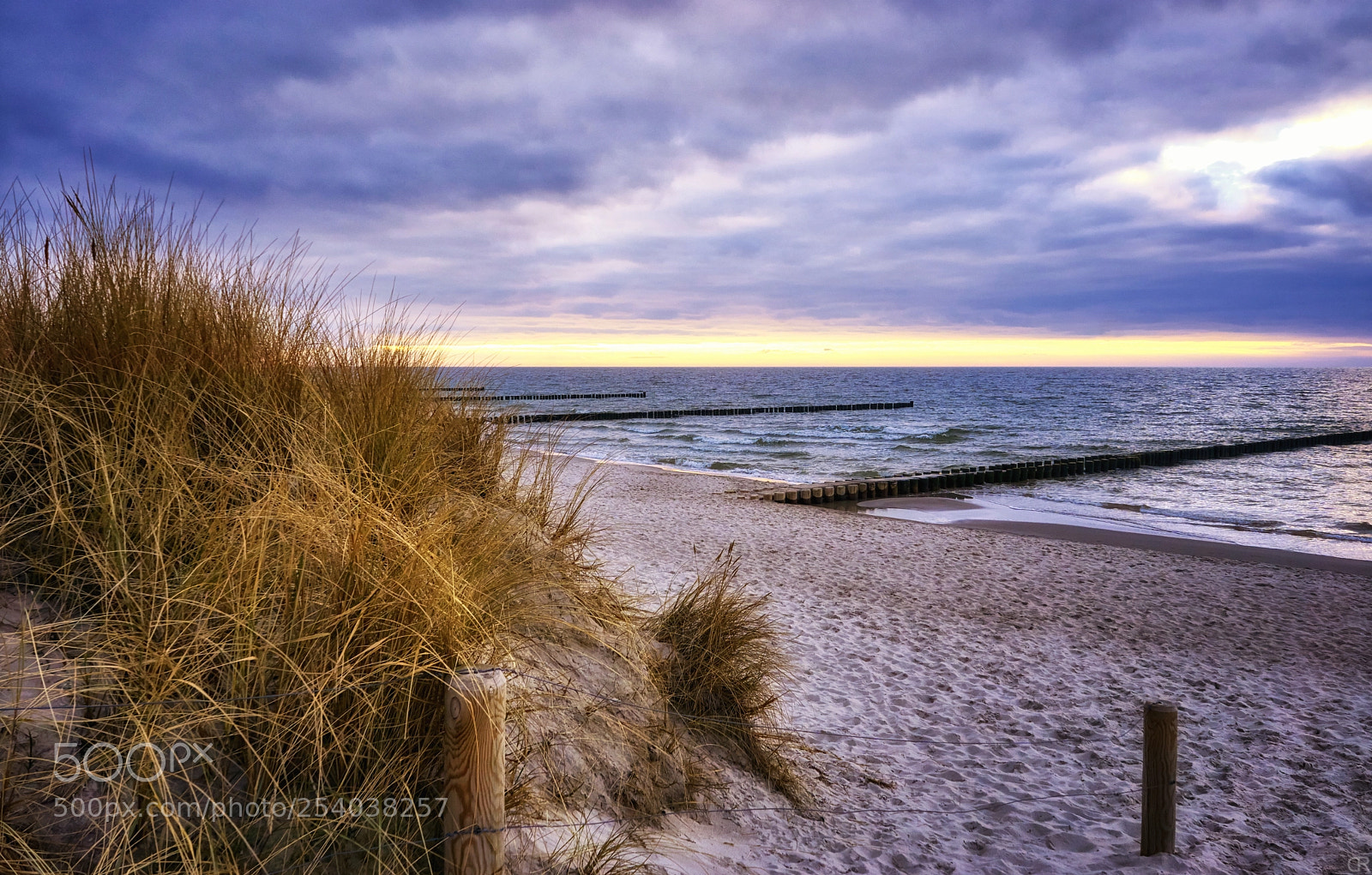 Sony a6000 sample photo. Buhnen am srand ahrenshoop photography