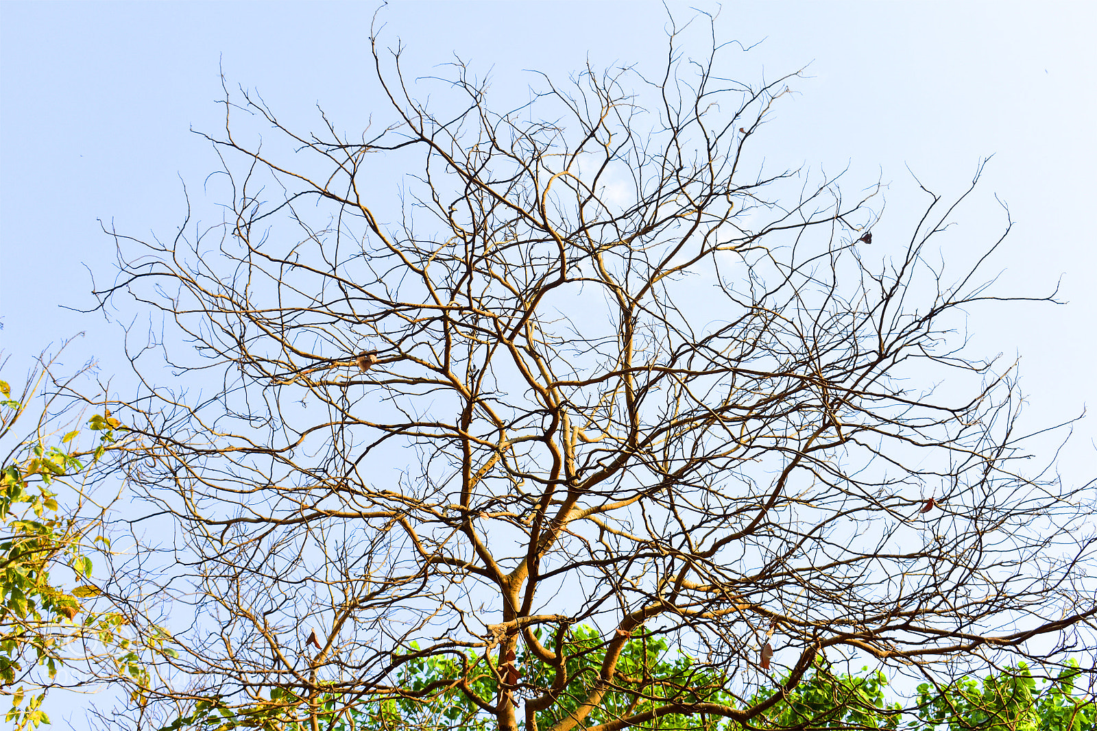 Nikon D3400 sample photo. Born again photography