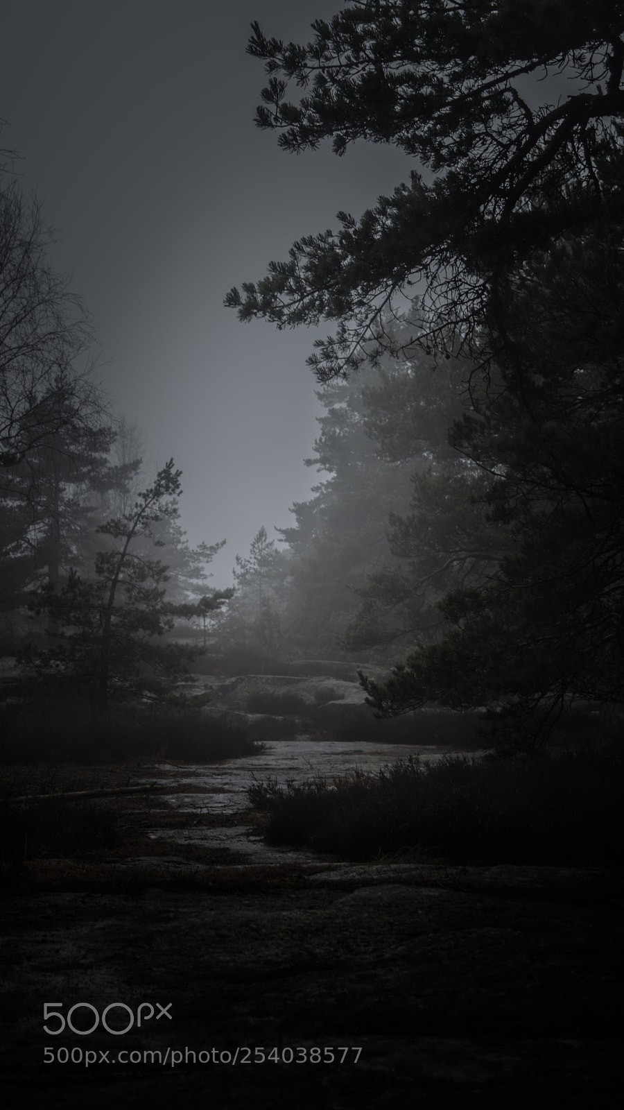 Sony SLT-A68 sample photo. Uneasy path photography