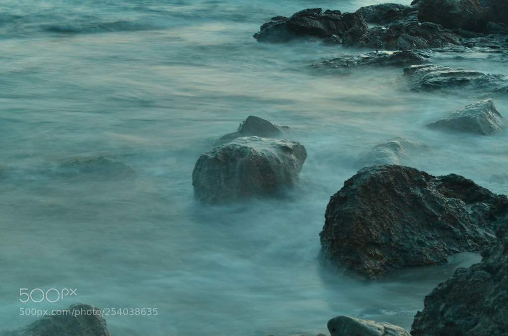 Nikon D5100 sample photo. Untitled photography
