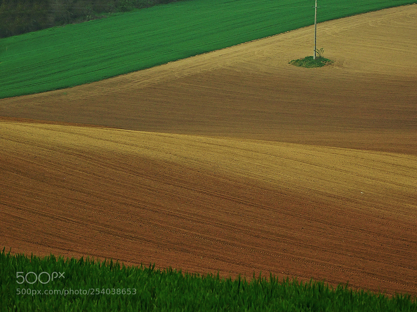 Nikon Coolpix L840 sample photo. Downhills photography