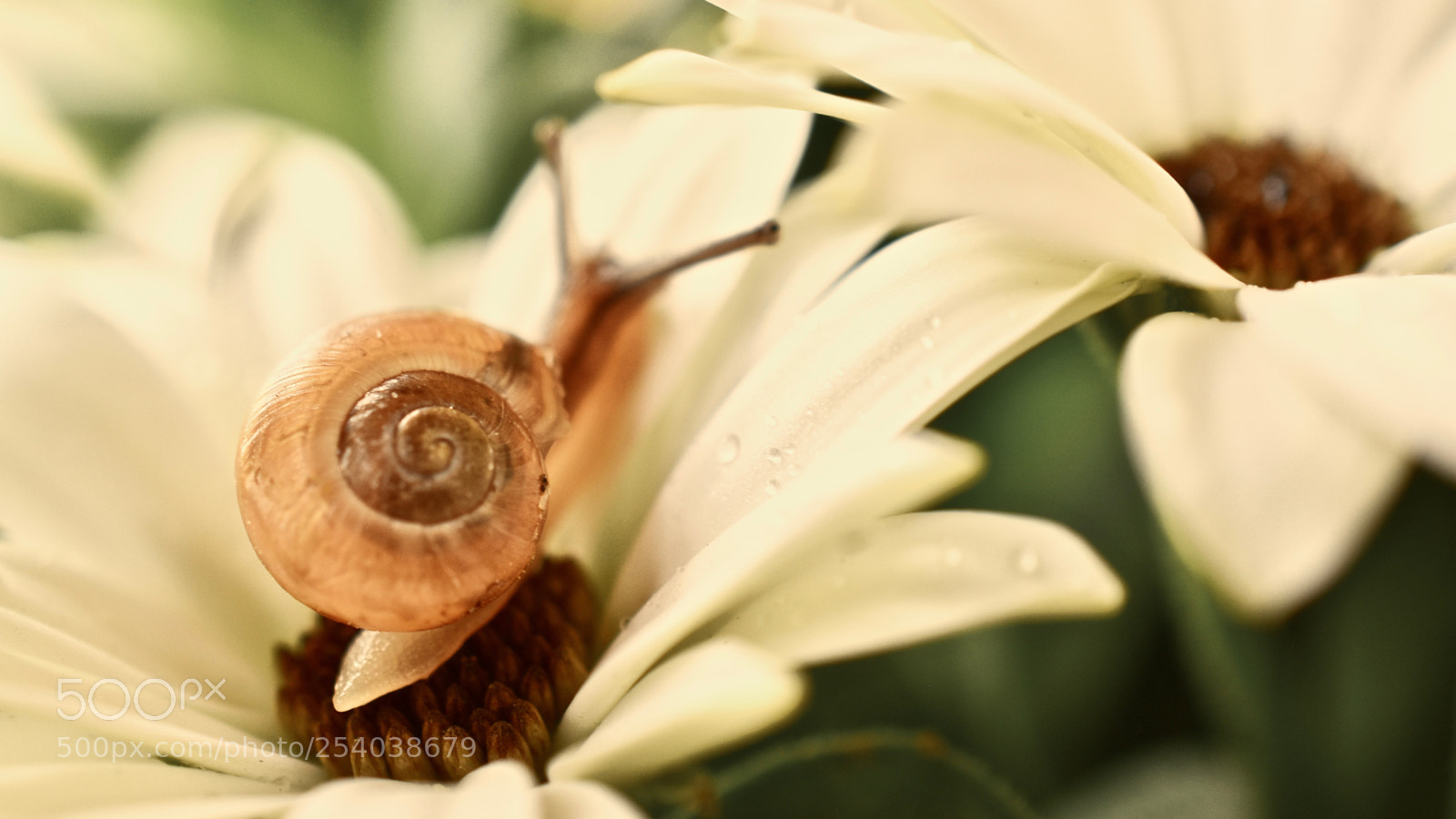 Nikon D5600 sample photo. :l: photography