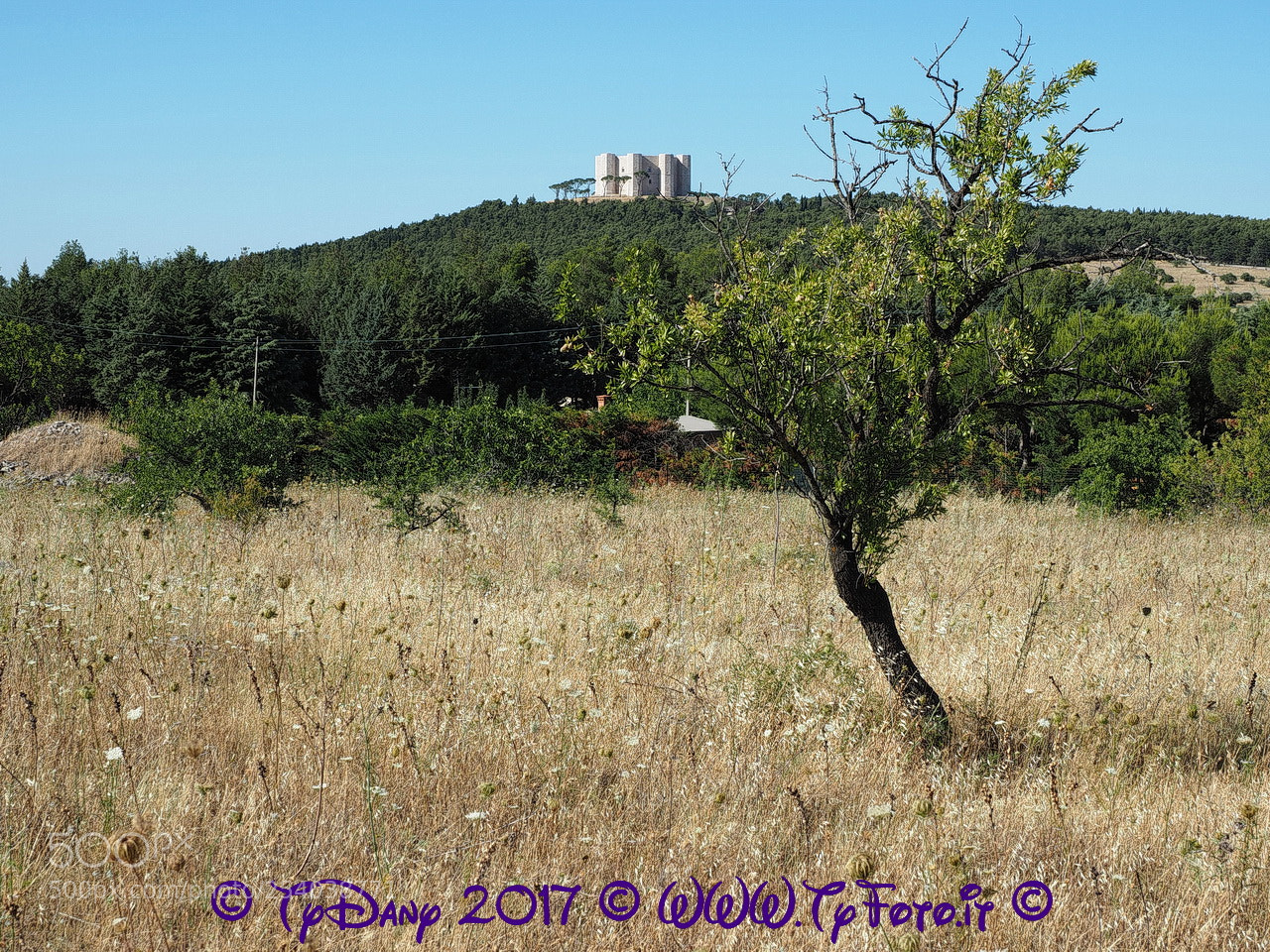 Olympus OM-D E-M5 II sample photo. Castel del monte photography