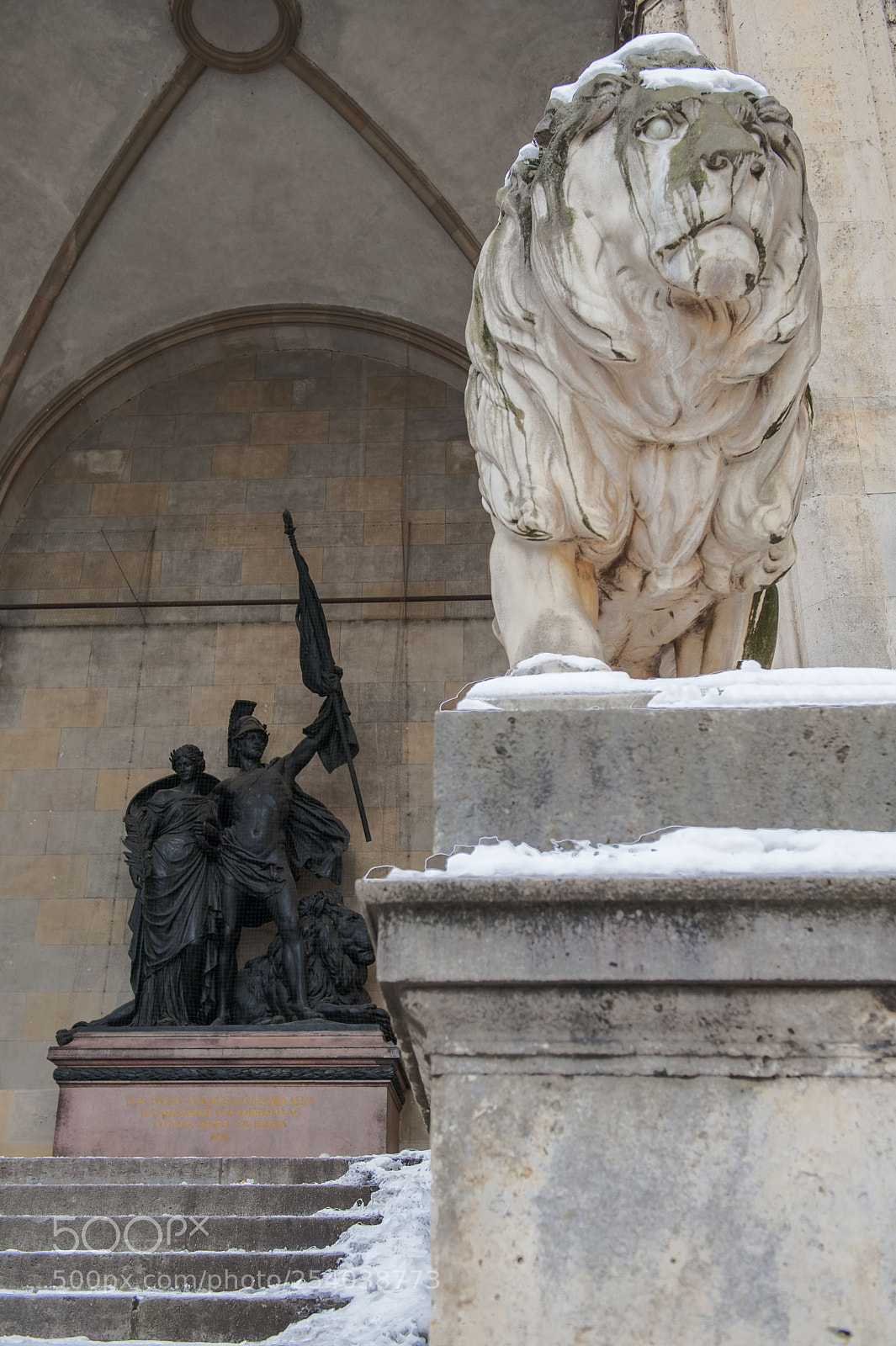 Nikon D700 sample photo. The lion of m photography
