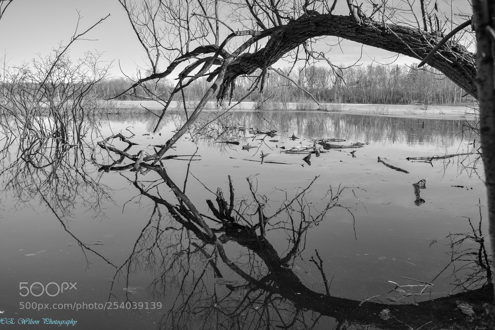 Nikon D3300 sample photo. Reflections photography