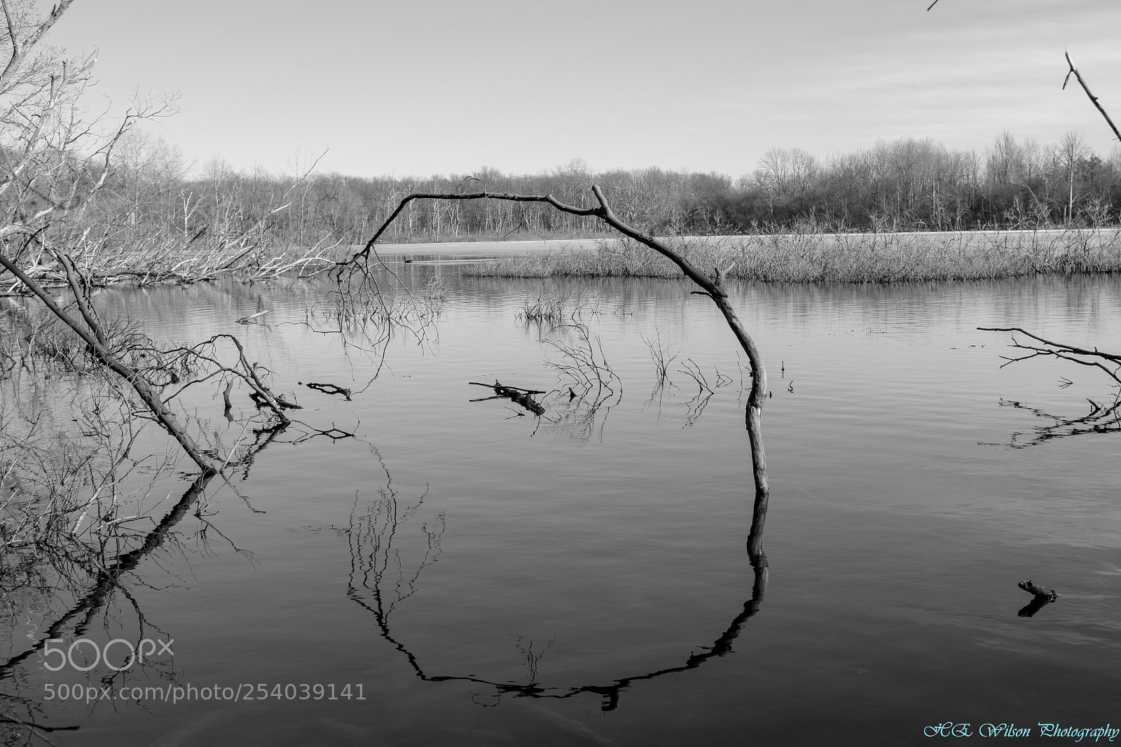 Nikon D3300 sample photo. Sill water photography