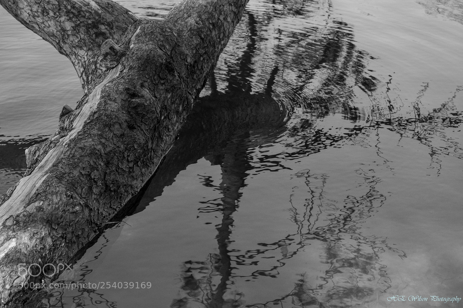 Nikon D3300 sample photo. Ripples photography