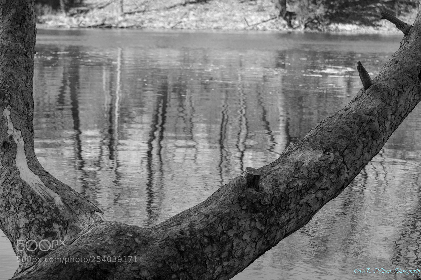 Nikon D3300 sample photo. Ripples photography