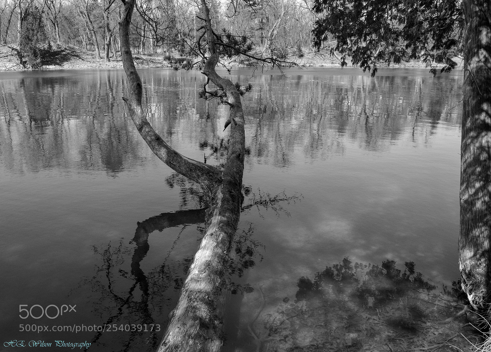 Nikon D3300 sample photo. Reflections photography