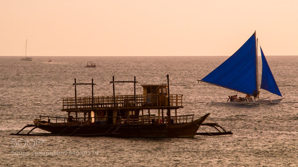 Nikon D5100 sample photo. Untitled photography