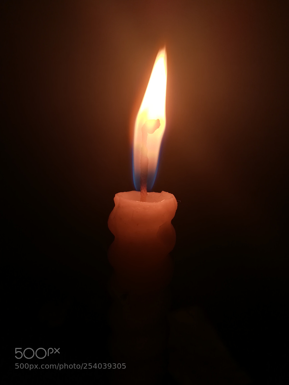 HUAWEI honor 6x sample photo. Untitled photography