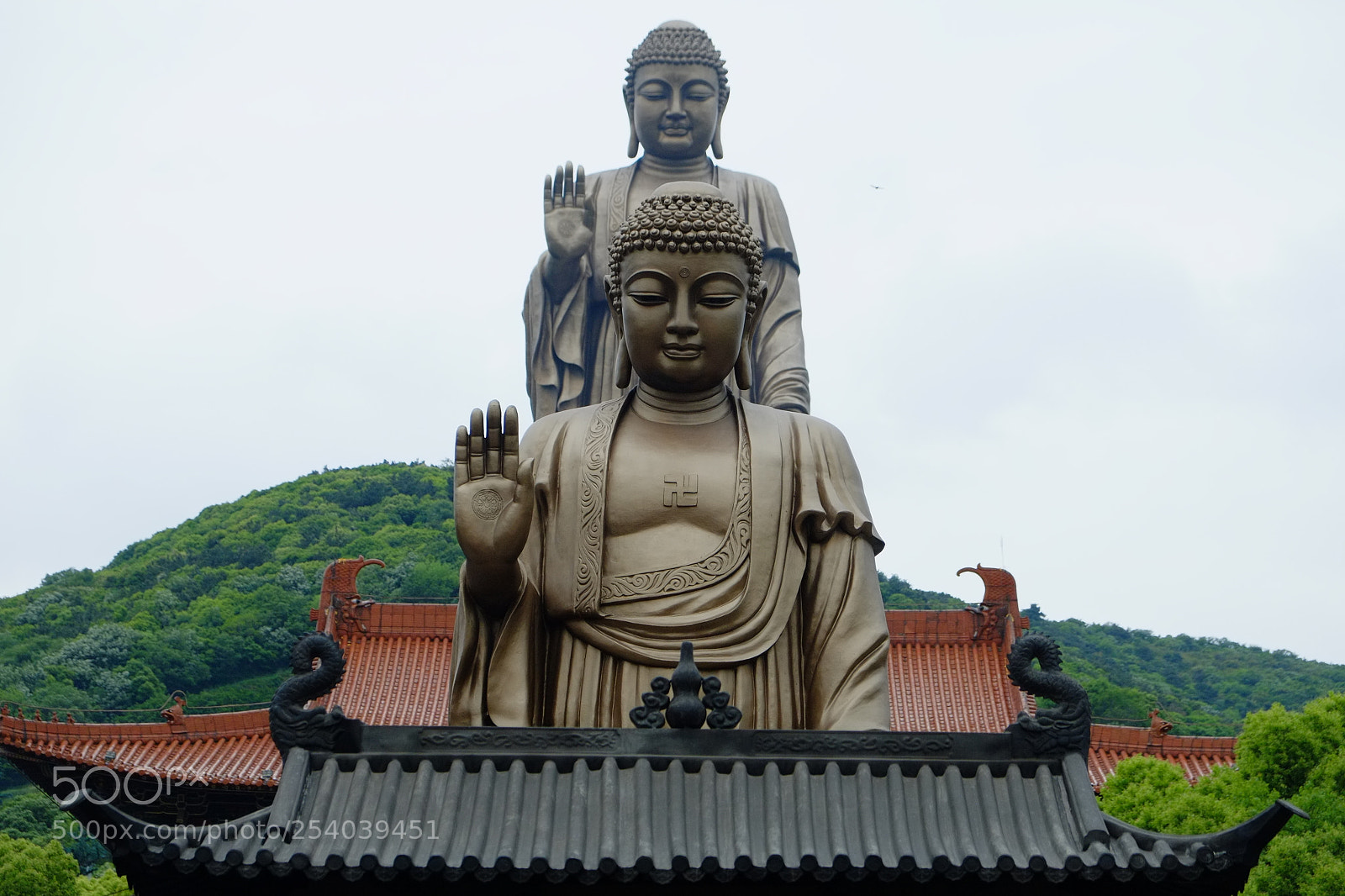 Fujifilm X-Pro1 sample photo. Psbvegjnd photography