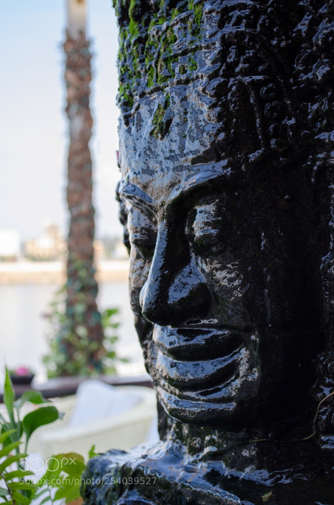 Nikon D5100 sample photo. Untitled photography