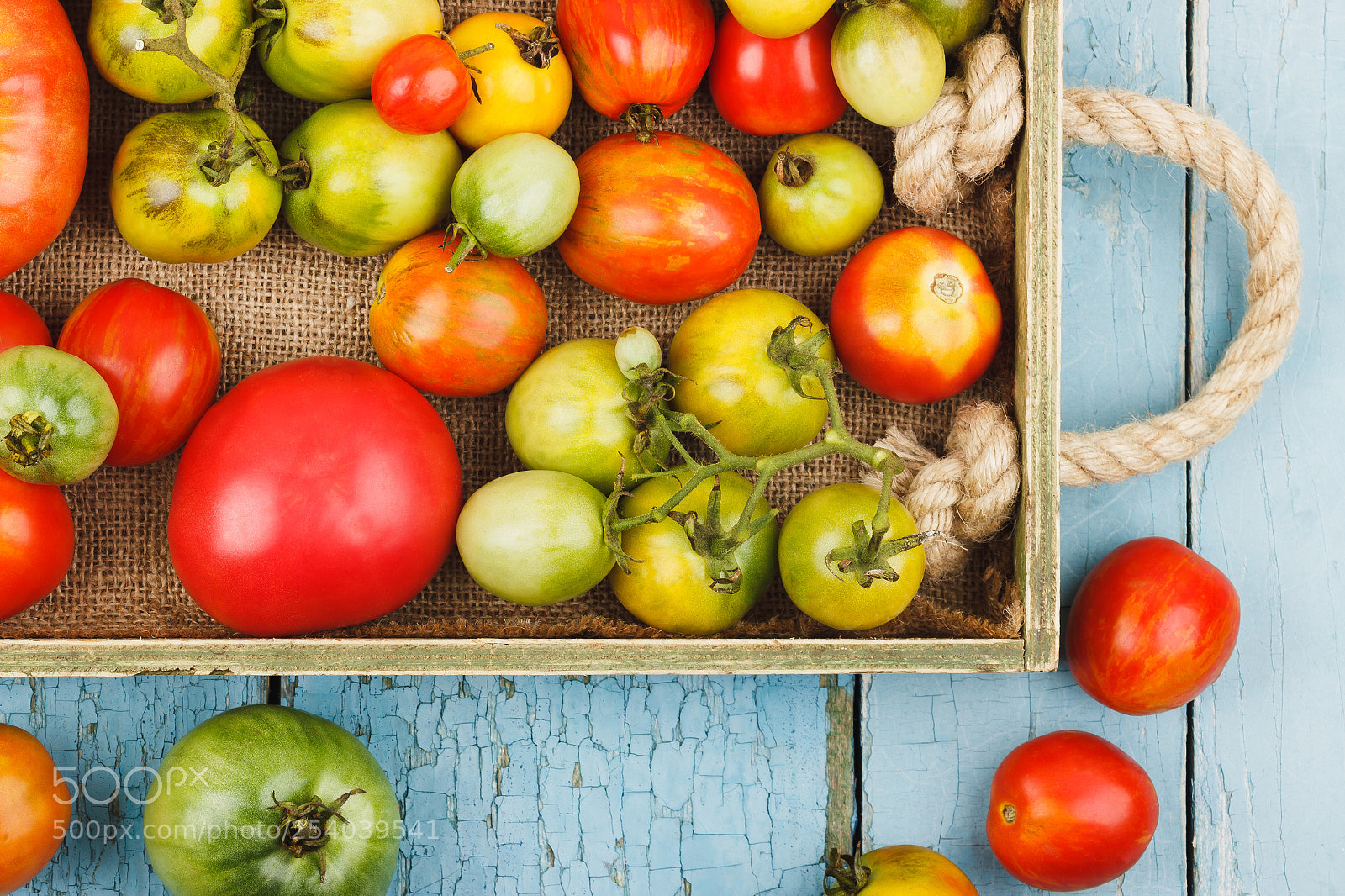 Canon EOS 600D (Rebel EOS T3i / EOS Kiss X5) sample photo. Set of ripe tomatoes photography