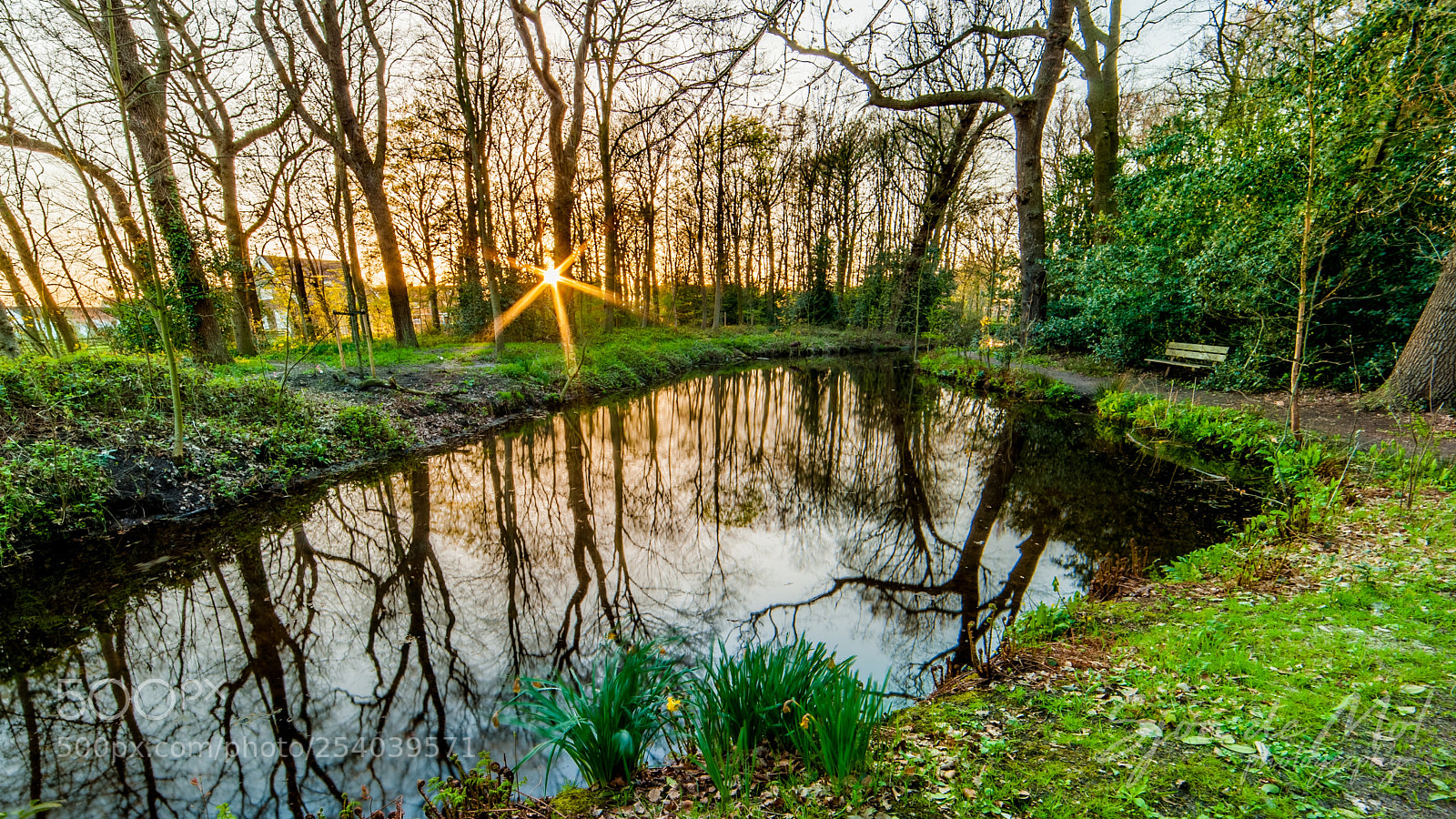 Nikon D700 sample photo. Sunny park photography