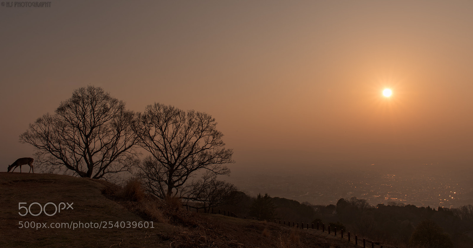 Nikon D810 sample photo. Sunset photography