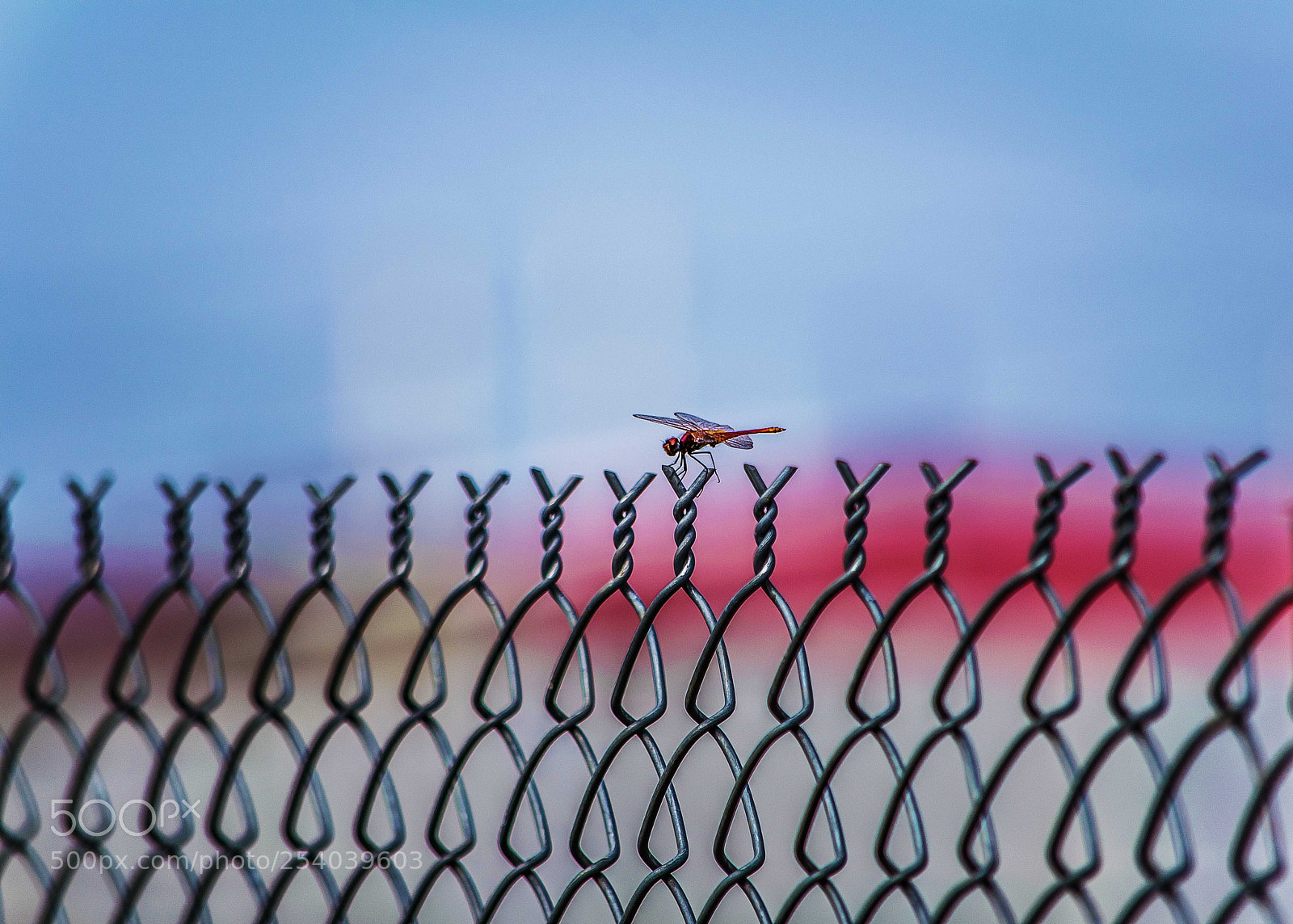Nikon D3300 sample photo. Lonely photography