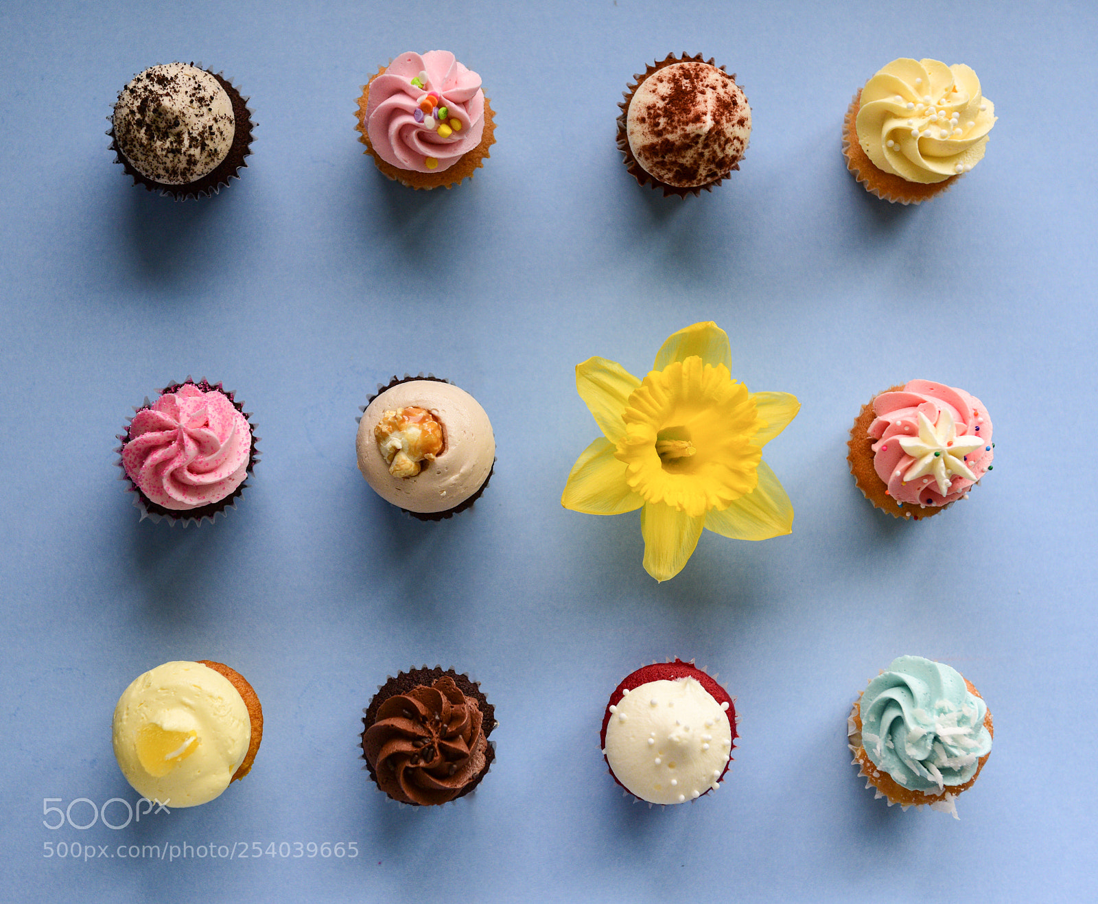 Nikon D810 sample photo. A spring gift photography
