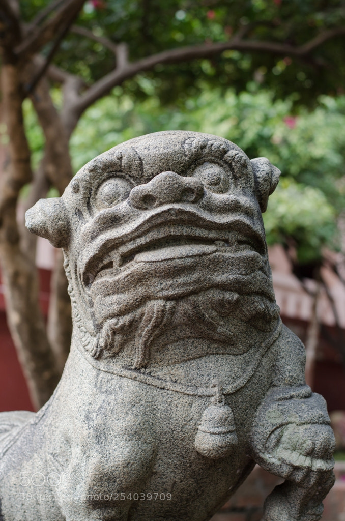 Nikon D5100 sample photo. Untitled photography
