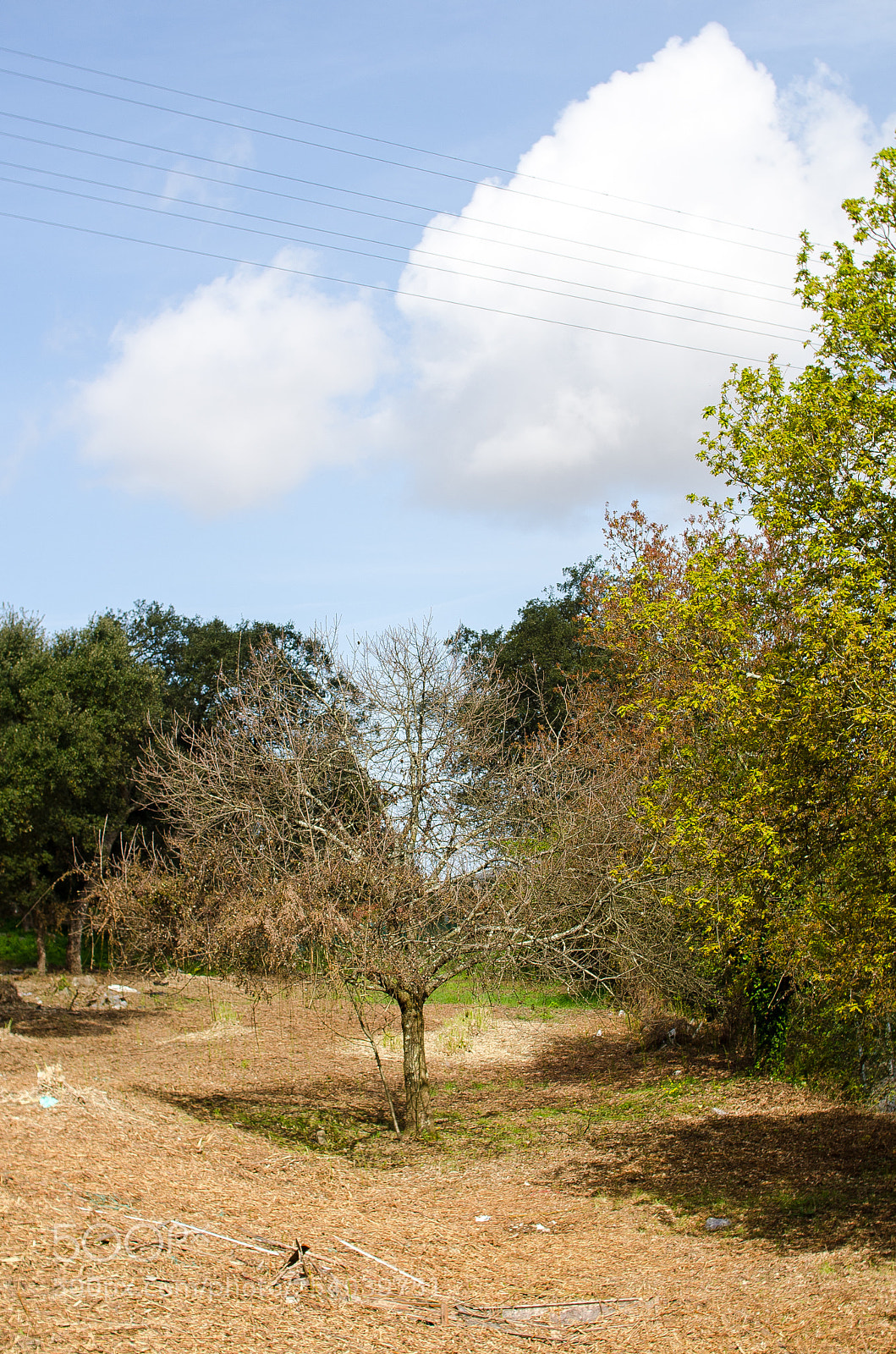 Nikon D7000 sample photo. And so goes on photography