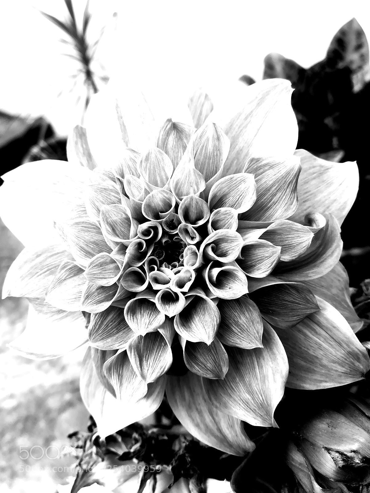 HUAWEI honor 6x sample photo. Untitled photography