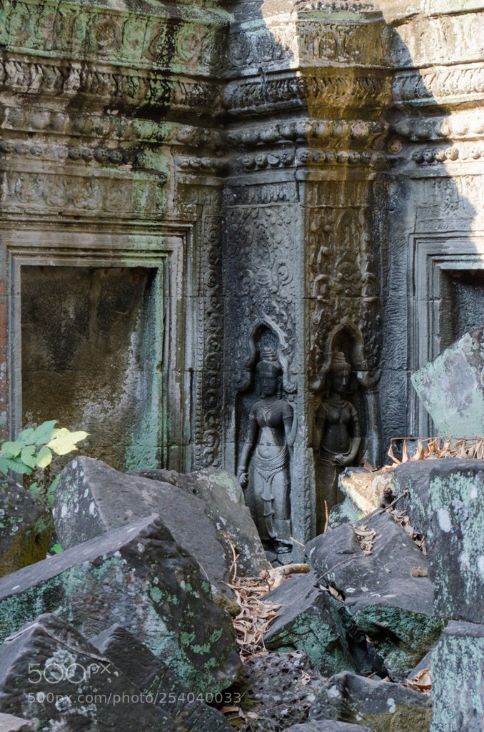 Nikon D5100 sample photo. Untitled photography
