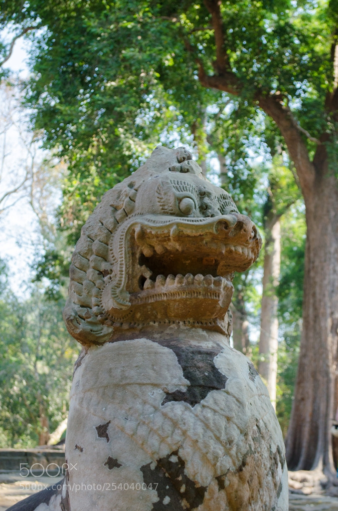 Nikon D5100 sample photo. Untitled photography