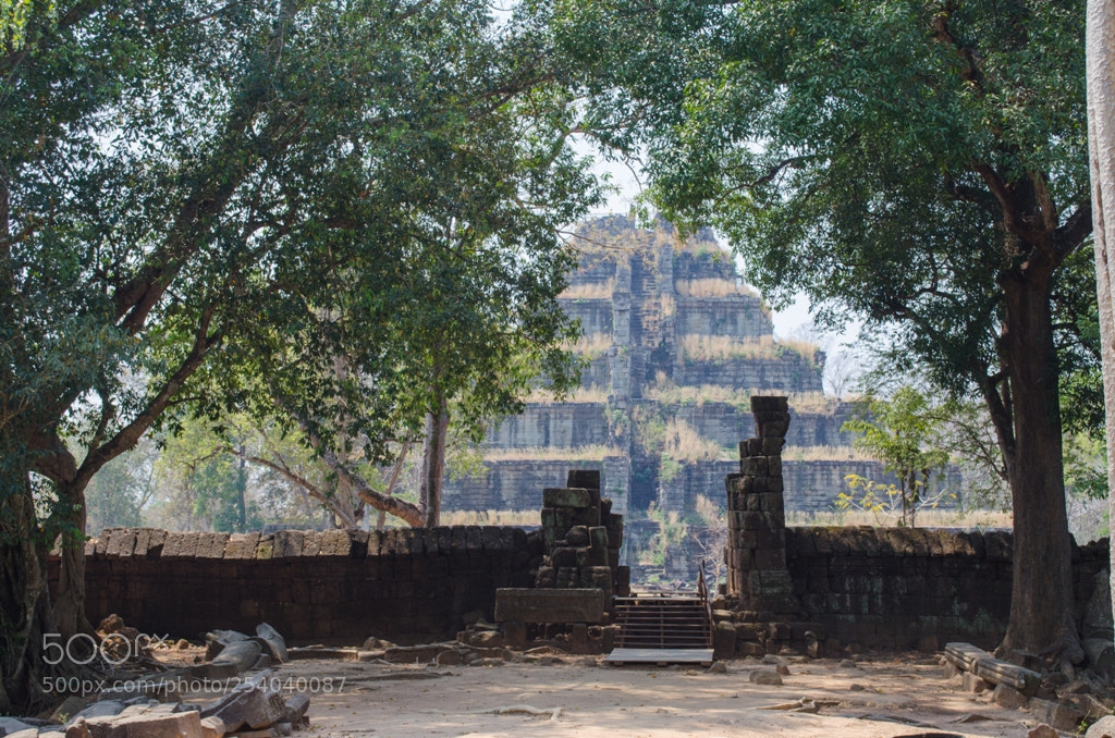 Nikon D5100 sample photo. Untitled photography