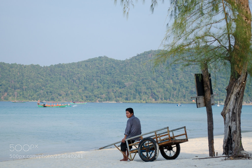 Nikon D5100 sample photo. Untitled photography