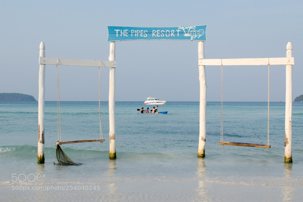 Nikon D5100 sample photo. Untitled photography