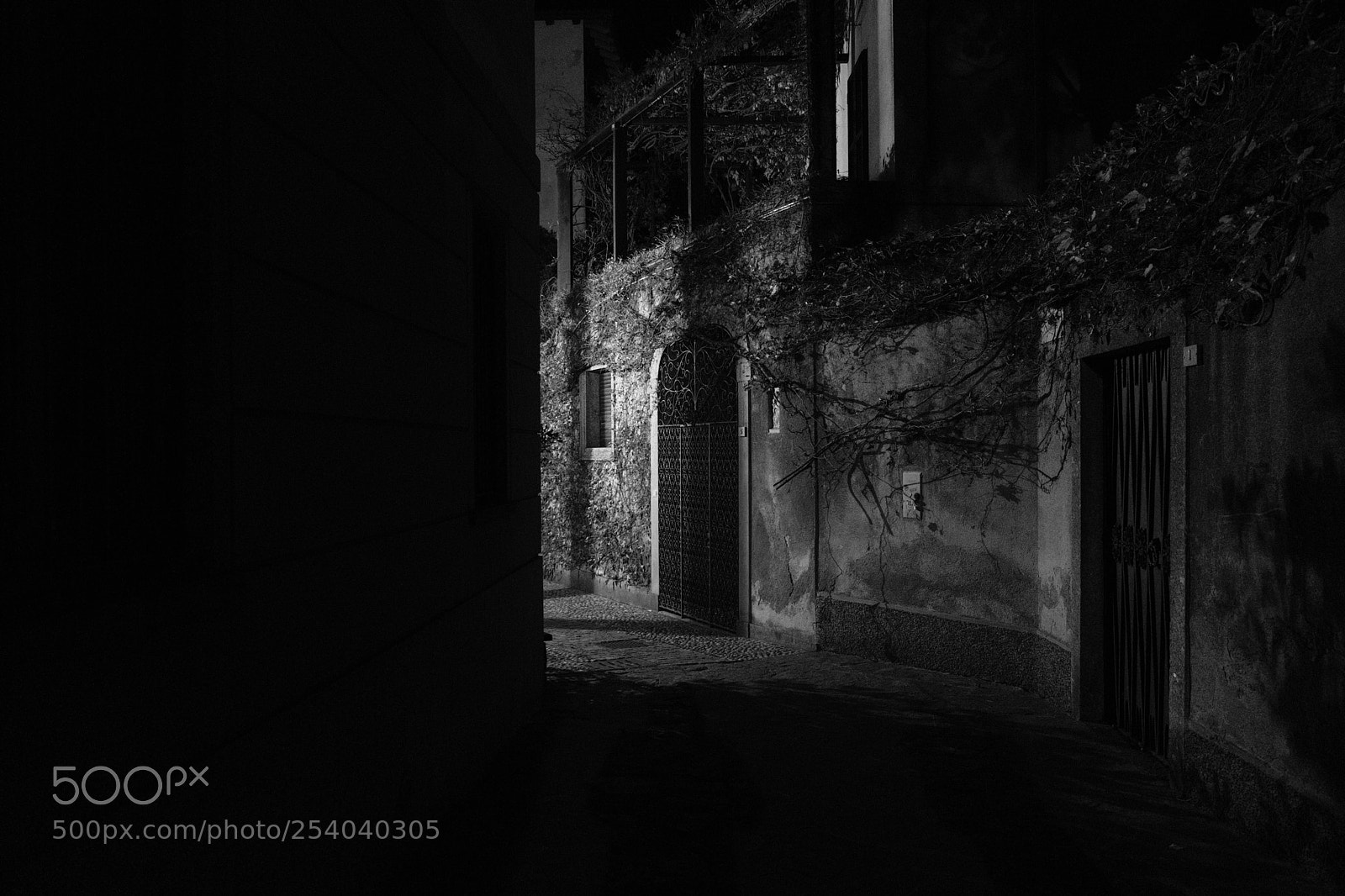 Fujifilm X-T20 sample photo. Untitled #512 photography