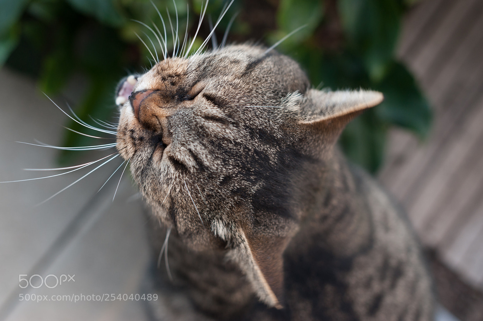 Nikon D700 sample photo. Tired photography