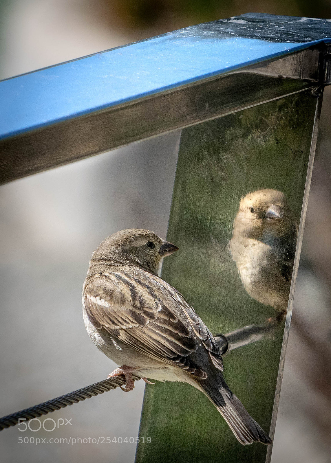 Nikon D3300 sample photo. Self reflection photography