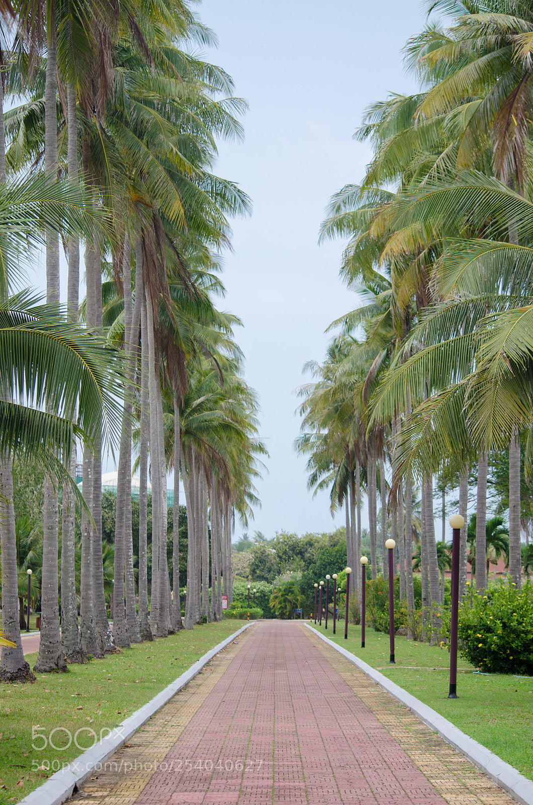 Nikon D5100 sample photo. Untitled photography