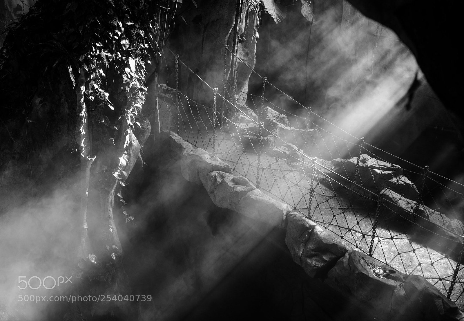Nikon D810 sample photo. Light2 photography