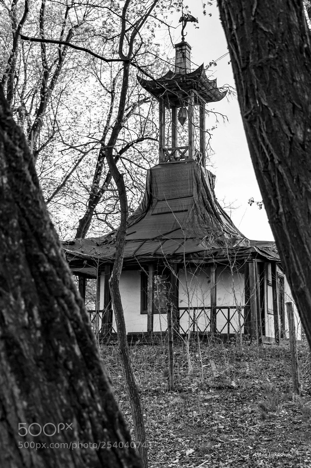Nikon D5300 sample photo. Pagoda chi ska w photography