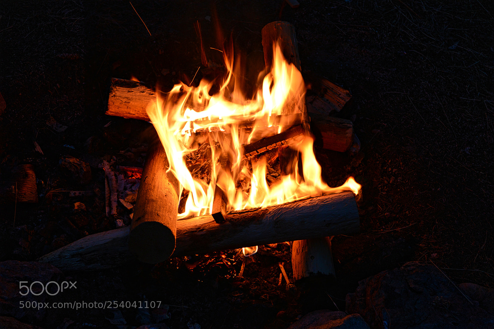 Nikon D3200 sample photo. Warmth photography