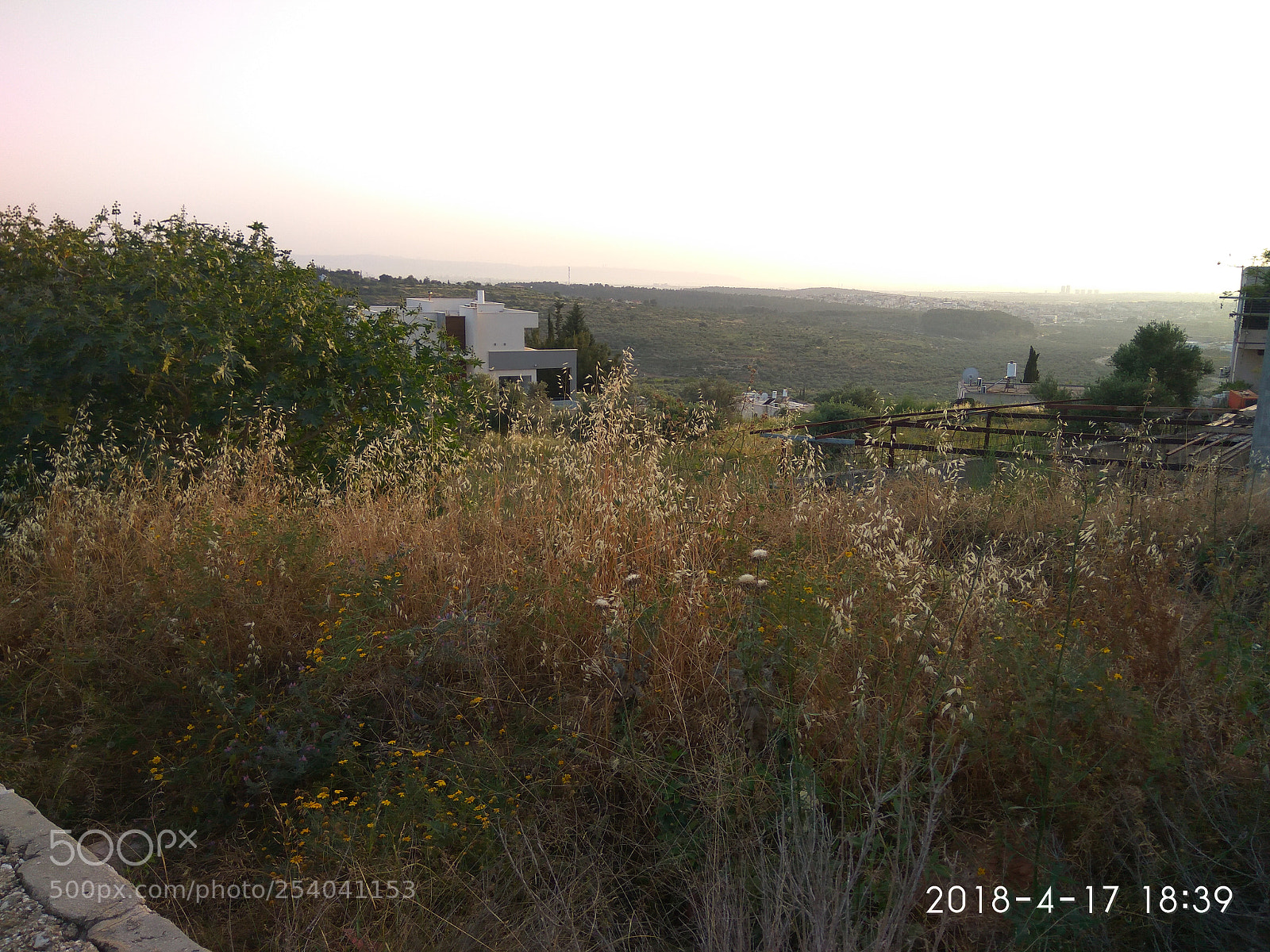 Xiaomi Redmi Note3 sample photo. Untitled photography