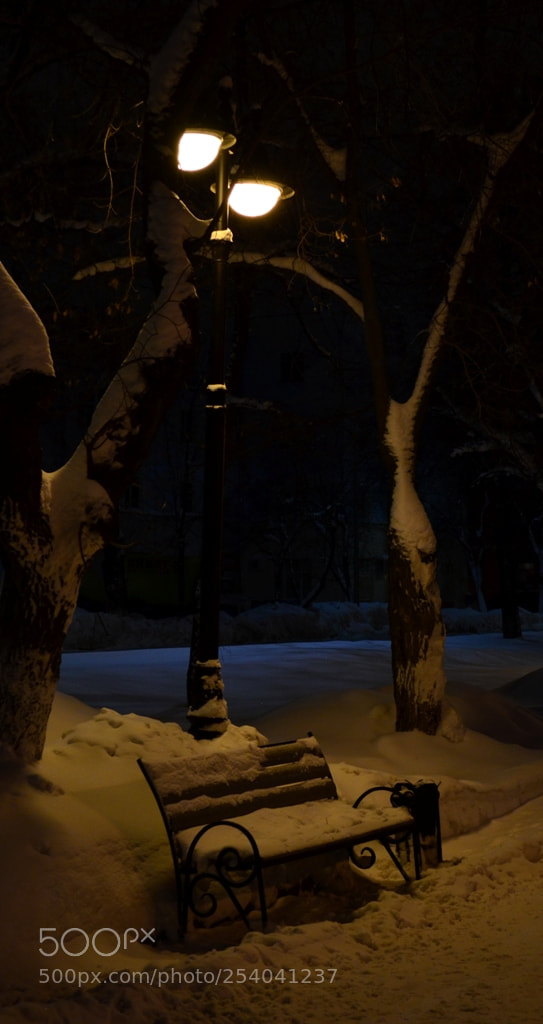 Nikon D5100 sample photo. Untitled photography