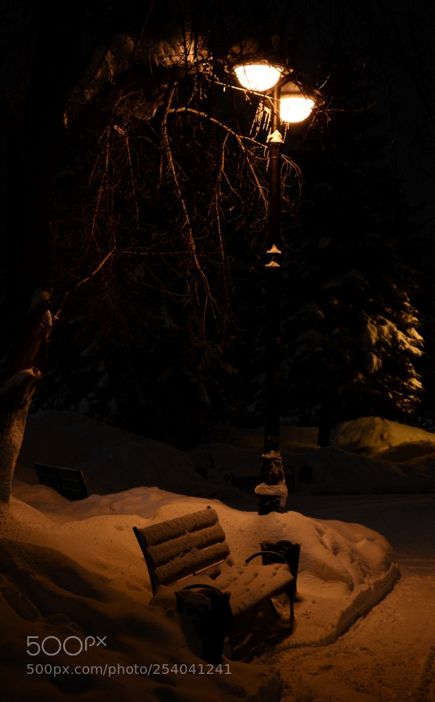 Nikon D5100 sample photo. Untitled photography