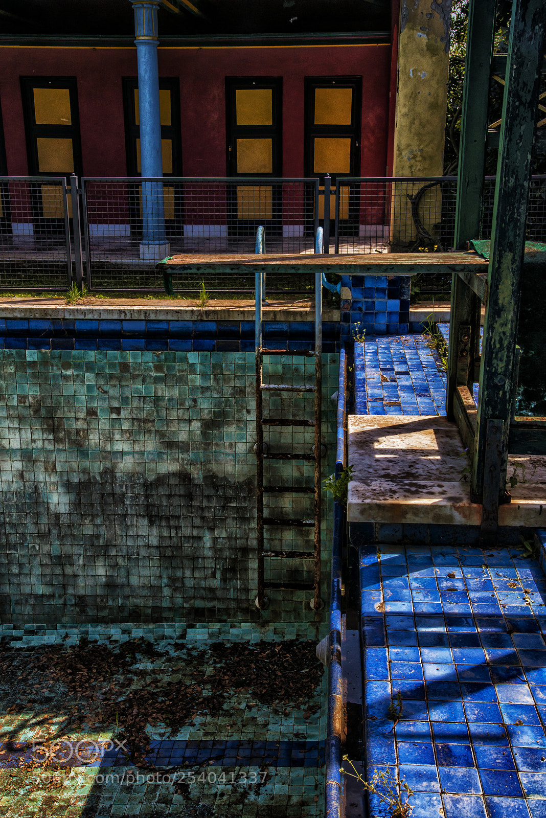 Nikon D800 sample photo. Swimming pool photography