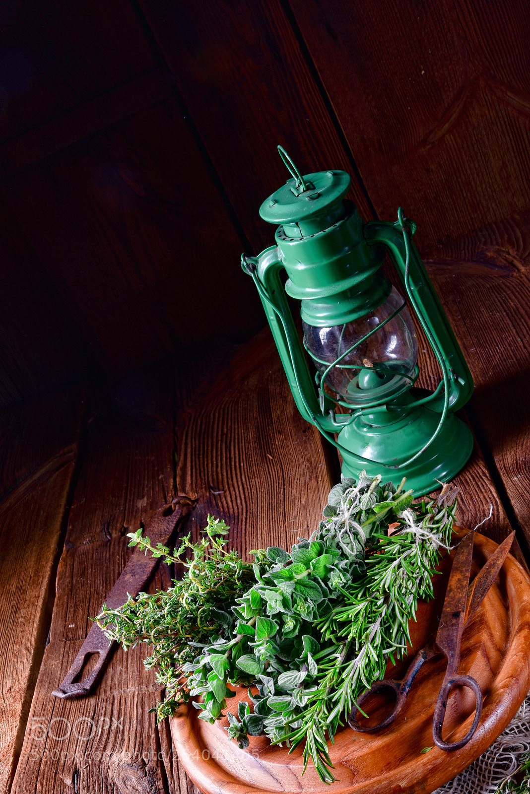 Nikon D810 sample photo. Herbal collection of thyme,oregano photography
