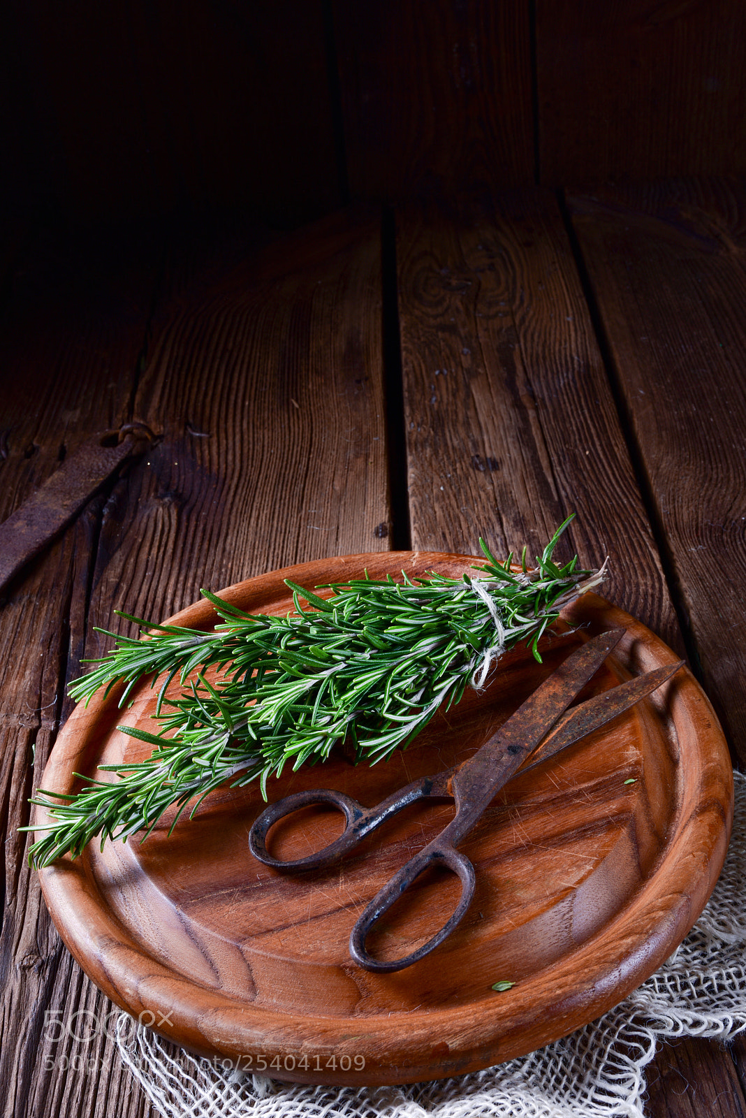 Nikon D810 sample photo. Rosmarin (rosmarinus officinalis) photography