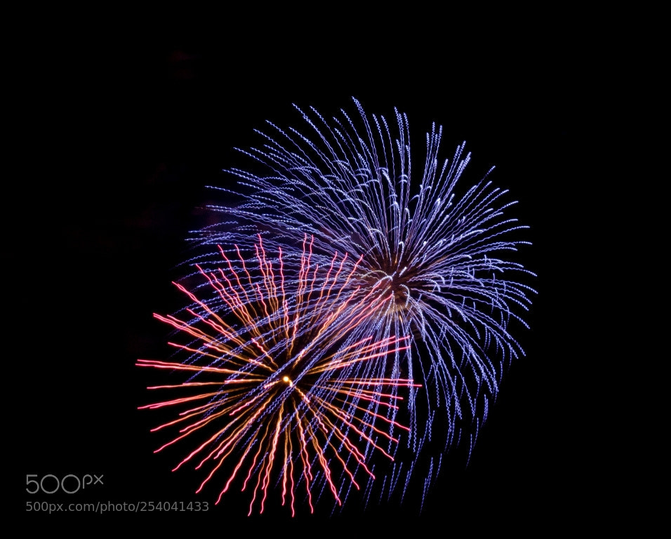 Nikon D5100 sample photo. Untitled photography