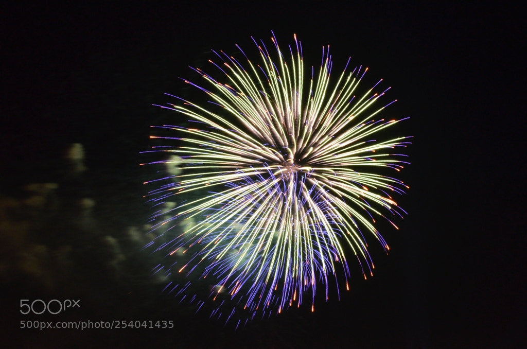 Nikon D5100 sample photo. Untitled photography