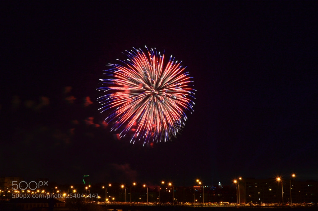Nikon D5100 sample photo. Untitled photography