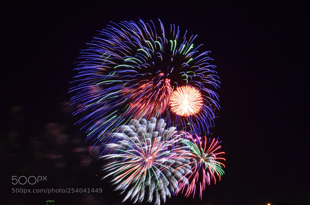 Nikon D5100 sample photo. Untitled photography
