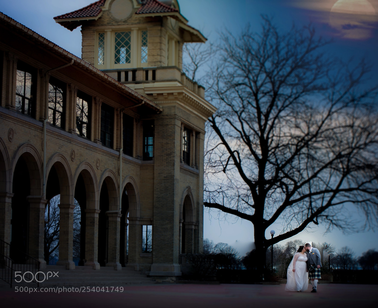 Nikon D3S sample photo. The moon's out ! photography