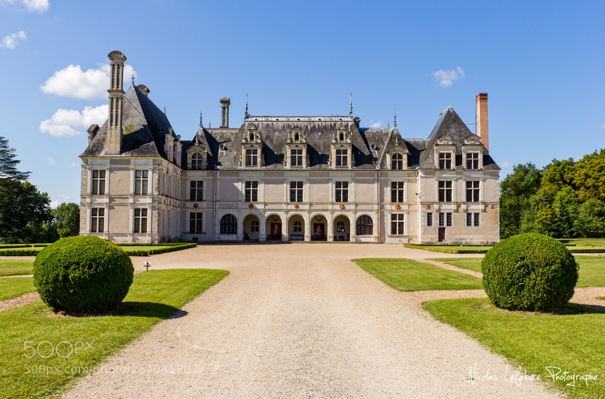 Canon EOS 60D sample photo. Nicolas lefebvre photographe ch photography