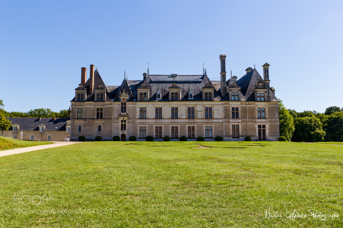 Canon EOS 60D sample photo. Nicolas lefebvre photographe ch photography